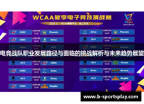 电竞战队职业发展路径与面临的挑战解析与未来趋势展望