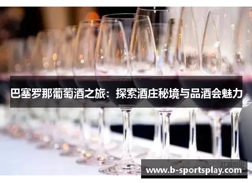 巴塞罗那葡萄酒之旅：探索酒庄秘境与品酒会魅力
