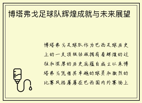 博塔弗戈足球队辉煌成就与未来展望