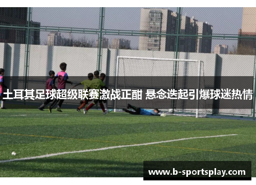 土耳其足球超级联赛激战正酣 悬念迭起引爆球迷热情