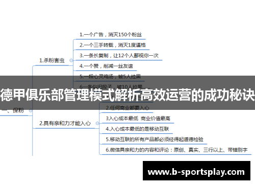 德甲俱乐部管理模式解析高效运营的成功秘诀